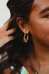 Twisted in Gold Earrings
