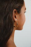 Twisted in Gold Earrings