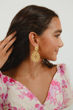 Fancy Nights Earrings