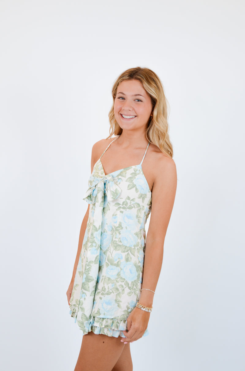 Blue Rose Mini Dress